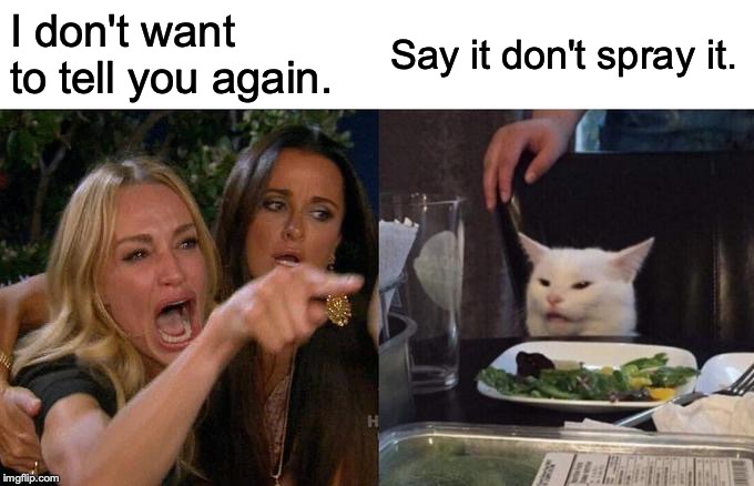 Woman Yelling At Cat Meme | I don't want to tell you again. Say it don't spray it. | image tagged in memes,woman yelling at cat | made w/ Imgflip meme maker