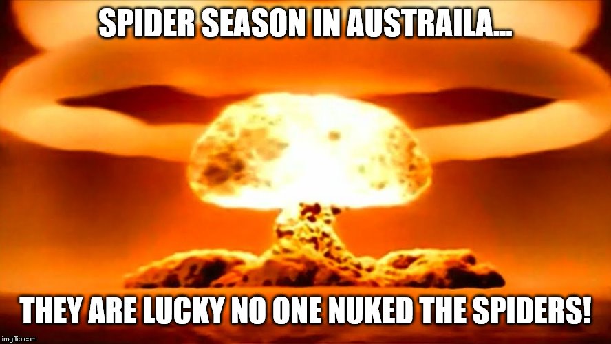 Nuke | SPIDER SEASON IN AUSTRAILA... THEY ARE LUCKY NO ONE NUKED THE SPIDERS! | image tagged in nuke | made w/ Imgflip meme maker