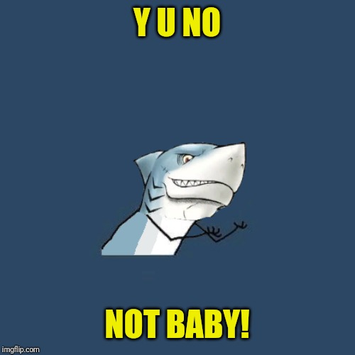 Y U No Shark | Y U NO NOT BABY! | image tagged in y u no shark | made w/ Imgflip meme maker
