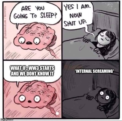 insomnia brain can't sleep blank | WHAT IF.. WW3 STARTS AND WE DONT KNOW IT; *INTERNAL SCREAMING* | image tagged in insomnia brain can't sleep blank | made w/ Imgflip meme maker