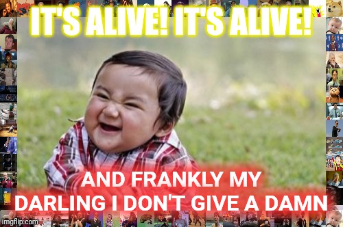 Evil Toddler Meme | IT'S ALIVE! IT'S ALIVE! AND FRANKLY MY DARLING I DON'T GIVE A DAMN | image tagged in memes,evil toddler | made w/ Imgflip meme maker
