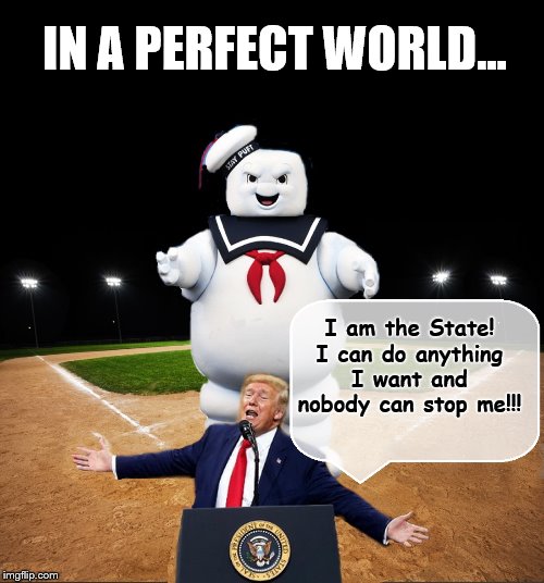 KING OF THE WORLD!!!! | IN A PERFECT WORLD... I am the State! I can do anything I want and nobody can stop me!!! | image tagged in donald trump is an idiot,impeach trump,trump is a moron,ghostbusters | made w/ Imgflip meme maker