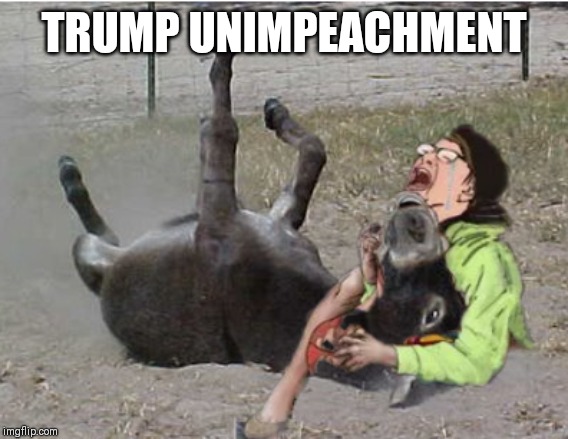 I'm with Her - Again! | TRUMP UNIMPEACHMENT | image tagged in trump unimpeachment,democratic party,nancy pelosi wtf,trump impeachment,trump 2020,the great awakening | made w/ Imgflip meme maker