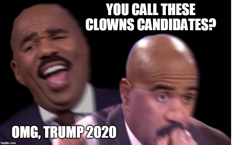 Conflicted Steve Harvey | YOU CALL THESE CLOWNS CANDIDATES? OMG, TRUMP 2020 | image tagged in conflicted steve harvey | made w/ Imgflip meme maker