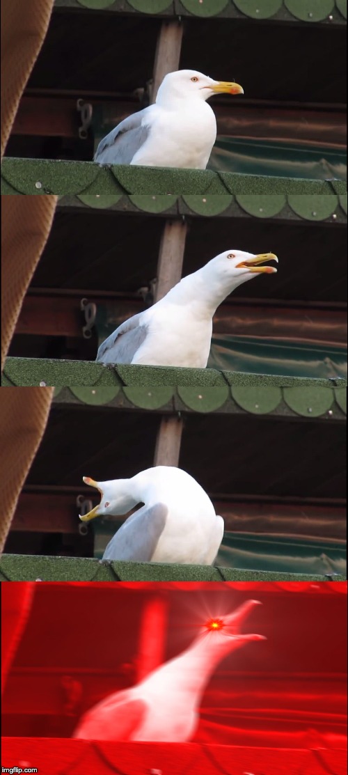 Inhaling Seagull | image tagged in memes,inhaling seagull | made w/ Imgflip meme maker