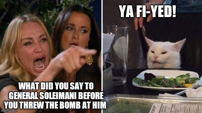 Angry lady cat | YA FI-YED! WHAT DID YOU SAY TO GENERAL SOLEIMANI BEFORE YOU THREW THE BOMB AT HIM | image tagged in angry lady cat | made w/ Imgflip meme maker