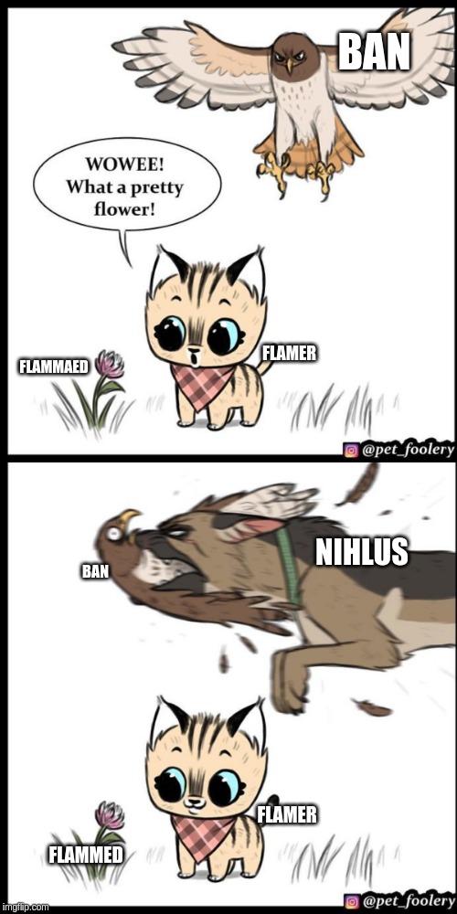 Brutus and pixie | BAN; FLAMER; FLAMMAED; NIHLUS; BAN; FLAMER; FLAMMED | image tagged in brutus and pixie | made w/ Imgflip meme maker