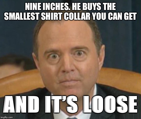 Crazy Adam Schiff | NINE INCHES. HE BUYS THE SMALLEST SHIRT COLLAR YOU CAN GET; AND IT’S LOOSE | image tagged in crazy adam schiff | made w/ Imgflip meme maker