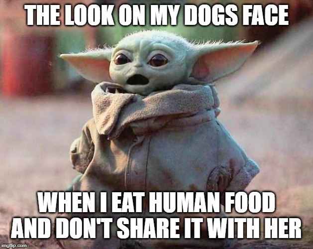 Surprised Baby Yoda | THE LOOK ON MY DOGS FACE; WHEN I EAT HUMAN FOOD AND DON'T SHARE IT WITH HER | image tagged in surprised baby yoda | made w/ Imgflip meme maker