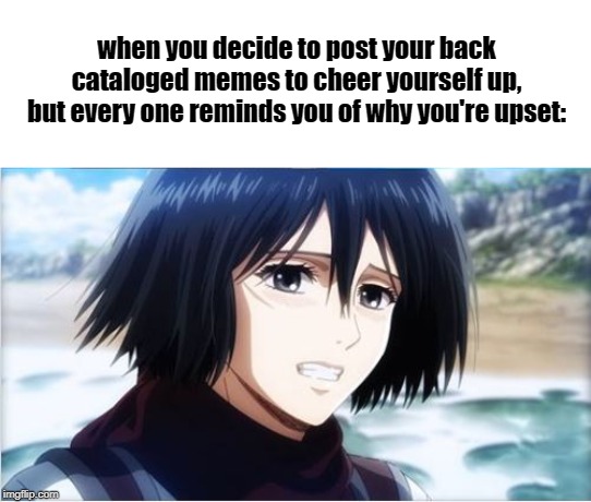 Bittersweet smile Mikasa | when you decide to post your back cataloged memes to cheer yourself up, but every one reminds you of why you're upset: | image tagged in bittersweet smile mikasa | made w/ Imgflip meme maker