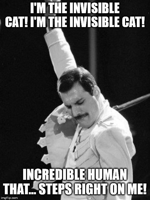 Freddie Mercury | I'M THE INVISIBLE CAT! I'M THE INVISIBLE CAT! INCREDIBLE HUMAN THAT... STEPS RIGHT ON ME! | image tagged in freddie mercury | made w/ Imgflip meme maker