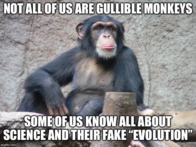 Monkey Lies | NOT ALL OF US ARE GULLIBLE MONKEYS; SOME OF US KNOW ALL ABOUT SCIENCE AND THEIR FAKE “EVOLUTION” | image tagged in evolution | made w/ Imgflip meme maker