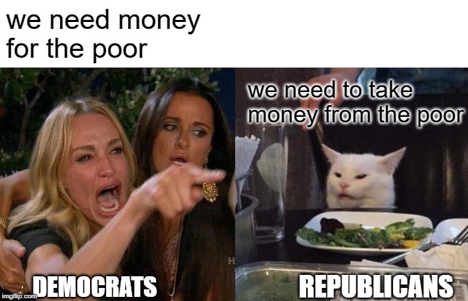 Woman Yelling At Cat Meme | we need money for the poor we need to take money from the poor REPUBLICANS DEMOCRATS | image tagged in memes,woman yelling at cat | made w/ Imgflip meme maker