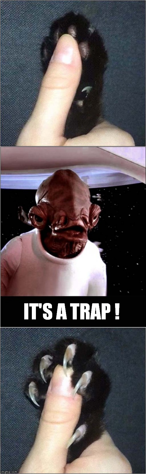 It's A Trap ! | IT'S A TRAP ! | image tagged in fun,claws | made w/ Imgflip meme maker