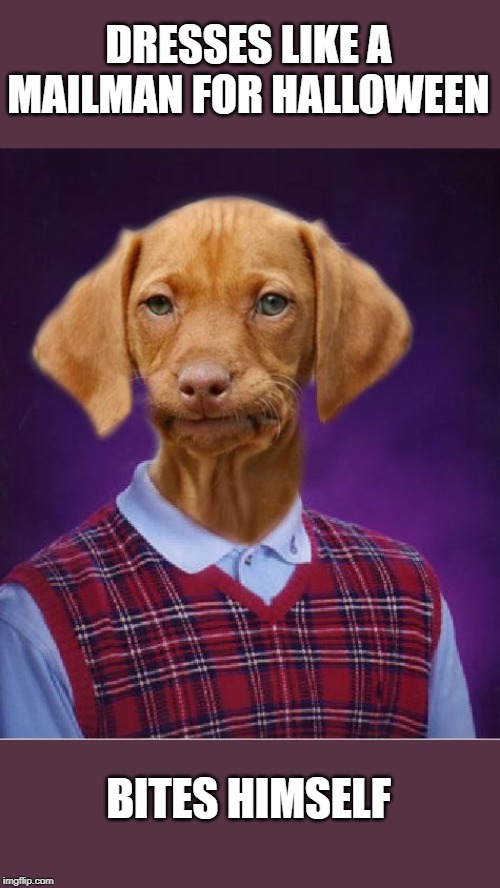 bad luck dog | DRESSES LIKE A MAILMAN FOR HALLOWEEN; BITES HIMSELF | image tagged in badluck gamer,funny | made w/ Imgflip meme maker