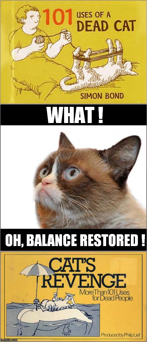 Grumpys Book Reviews | WHAT ! OH, BALANCE RESTORED ! | image tagged in fun,grumpy cat,bad taste | made w/ Imgflip meme maker