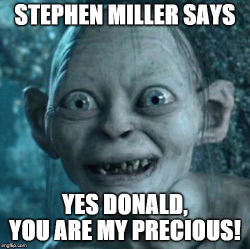 Gollum | STEPHEN MILLER SAYS; YES DONALD, YOU ARE MY PRECIOUS! | image tagged in memes,gollum | made w/ Imgflip meme maker