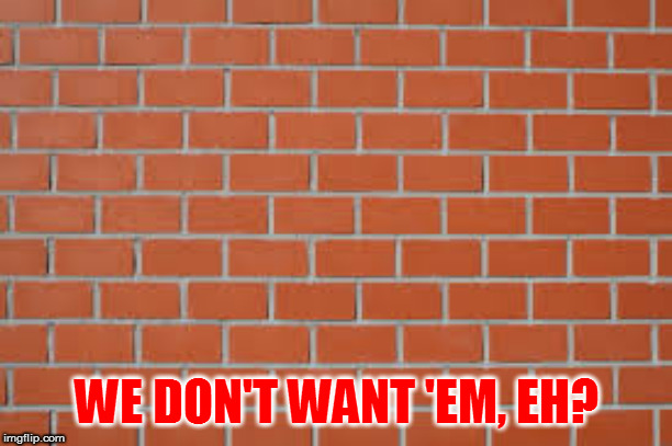 brick wall | WE DON'T WANT 'EM, EH? | image tagged in brick wall | made w/ Imgflip meme maker