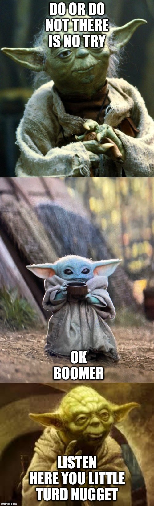 DO OR DO NOT THERE IS NO TRY; OK BOOMER; LISTEN HERE YOU LITTLE TURD NUGGET | image tagged in yoda,memes,star wars yoda,baby yoda tea | made w/ Imgflip meme maker