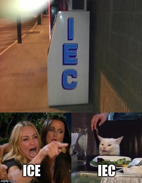 ICE; IEC | image tagged in memes,woman yelling at cat | made w/ Imgflip meme maker