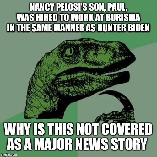 Philosoraptor Meme | NANCY PELOSI’S SON, PAUL, WAS HIRED TO WORK AT BURISMA IN THE SAME MANNER AS HUNTER BIDEN; WHY IS THIS NOT COVERED AS A MAJOR NEWS STORY | image tagged in memes,philosoraptor | made w/ Imgflip meme maker