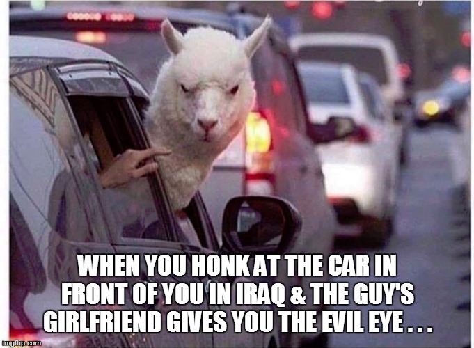 WHEN YOU HONK AT THE CAR IN FRONT OF YOU IN IRAQ & THE GUY'S GIRLFRIEND GIVES YOU THE EVIL EYE . . . | image tagged in funny memes,bad pun,lol so funny,funny animals,too funny,fun | made w/ Imgflip meme maker