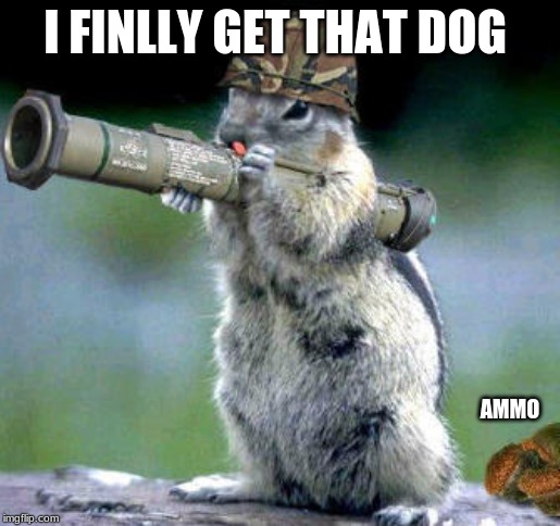 Bazooka Squirrel Meme | I FINLLY GET THAT DOG; AMMO | image tagged in memes,bazooka squirrel | made w/ Imgflip meme maker