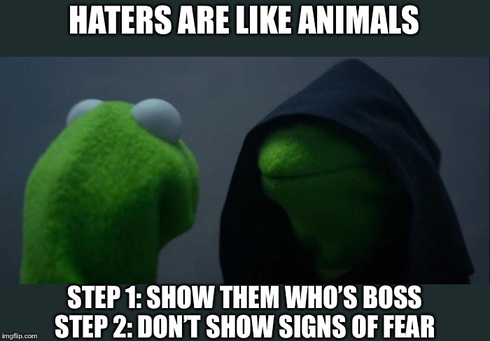 Evil Kermit | HATERS ARE LIKE ANIMALS; STEP 1: SHOW THEM WHO’S BOSS
STEP 2: DON’T SHOW SIGNS OF FEAR | image tagged in memes,evil kermit | made w/ Imgflip meme maker