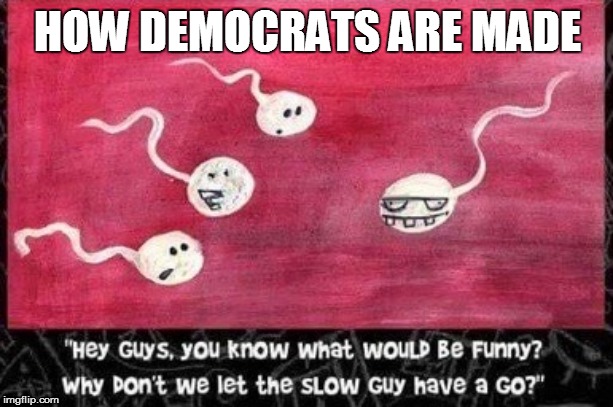 How Democrats are made | HOW DEMOCRATS ARE MADE | image tagged in democrats,idiots | made w/ Imgflip meme maker