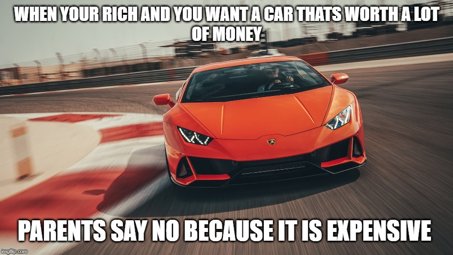 WHEN YOUR RICH AND YOU WANT A CAR THATS WORTH A LOT
OF MONEY; PARENTS SAY NO BECAUSE IT IS EXPENSIVE | image tagged in cars | made w/ Imgflip meme maker