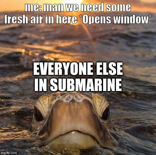 turtle | me: man we need some fresh air in here *Opens window*; EVERYONE ELSE IN SUBMARINE | image tagged in turtle | made w/ Imgflip meme maker