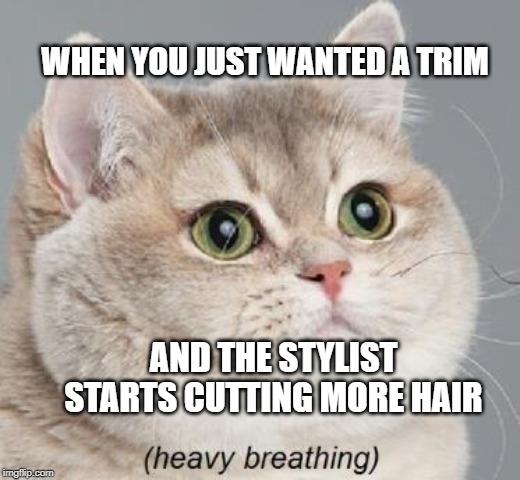 Heavy Breathing Cat Meme | WHEN YOU JUST WANTED A TRIM; AND THE STYLIST STARTS CUTTING MORE HAIR | image tagged in memes,heavy breathing cat | made w/ Imgflip meme maker