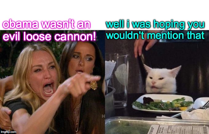 Woman Yelling At Cat Meme | obama wasn't an evil loose cannon! well i was hoping you
wouldn't mention that | image tagged in memes,woman yelling at cat | made w/ Imgflip meme maker