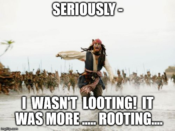 Jack Sparrow Being Chased Meme | SERIOUSLY -; I  WASN'T  LOOTING!  IT  WAS MORE ..... ROOTING.... | image tagged in memes,jack sparrow being chased | made w/ Imgflip meme maker
