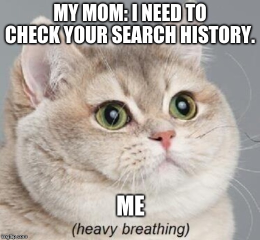 Heavy Breathing Cat | MY MOM: I NEED TO CHECK YOUR SEARCH HISTORY. ME | image tagged in memes,heavy breathing cat | made w/ Imgflip meme maker