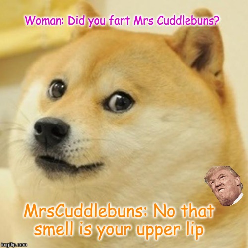 Doge | Woman: Did you fart Mrs Cuddlebuns? MrsCuddlebuns: No that smell is your upper lip | image tagged in memes,doge | made w/ Imgflip meme maker