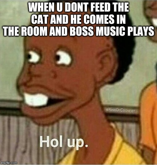 hol up | WHEN U DONT FEED THE CAT AND HE COMES IN THE ROOM AND BOSS MUSIC PLAYS | image tagged in hol up | made w/ Imgflip meme maker