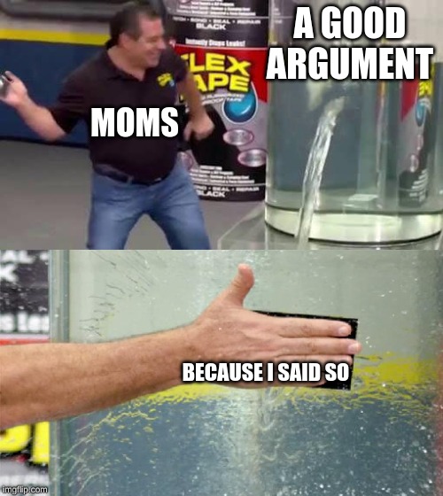 Flex Tape | A GOOD ARGUMENT; MOMS; BECAUSE I SAID SO | image tagged in flex tape | made w/ Imgflip meme maker