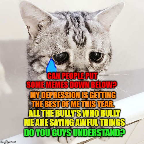 CAN PEOPLE PUT SOME MEMES DOWN BELOW? MY DEPRESSION IS GETTING THE BEST OF ME THIS YEAR. ALL THE BULLY'S WHO BULLY ME ARE SAYING AWFUL THINGS; DO YOU GUYS UNDERSTAND? | image tagged in cats | made w/ Imgflip meme maker