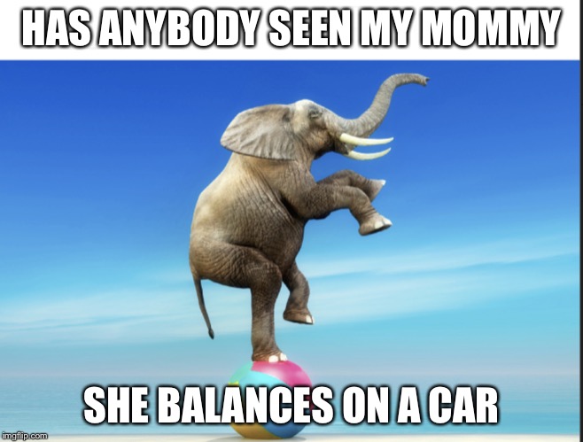 Mommy | HAS ANYBODY SEEN MY MOMMY; SHE BALANCES ON A CAR | image tagged in funny,memes | made w/ Imgflip meme maker