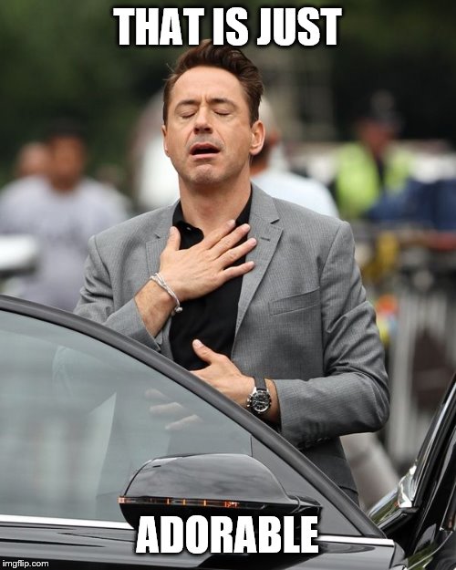 Robert Downey Jr | THAT IS JUST ADORABLE | image tagged in robert downey jr | made w/ Imgflip meme maker