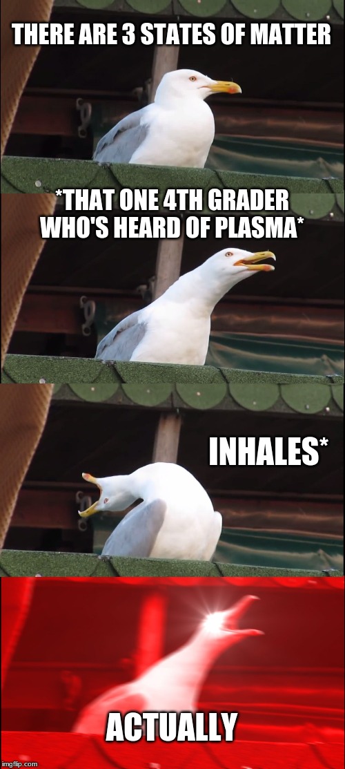 Inhaling Seagull | THERE ARE 3 STATES OF MATTER; *THAT ONE 4TH GRADER WHO'S HEARD OF PLASMA*; INHALES*; ACTUALLY | image tagged in memes,inhaling seagull | made w/ Imgflip meme maker