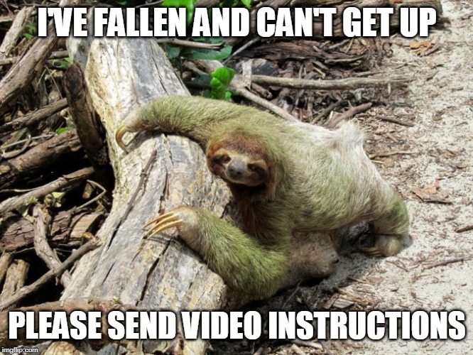 I need a video | I'VE FALLEN AND CAN'T GET UP; PLEASE SEND VIDEO INSTRUCTIONS | image tagged in memes,funny,video instructions,help me,animal meme | made w/ Imgflip meme maker