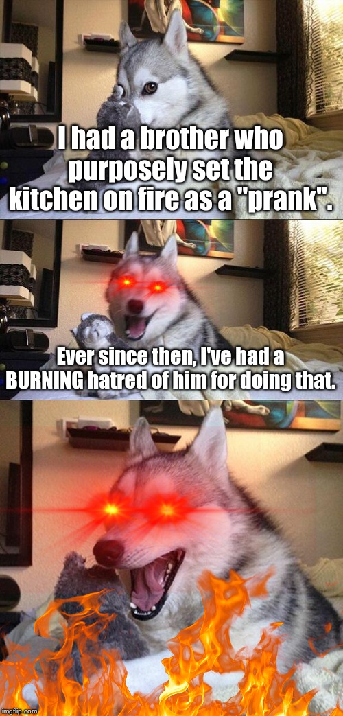 FAIYAH!!! | I had a brother who purposely set the kitchen on fire as a "prank". Ever since then, I've had a BURNING hatred of him for doing that. | image tagged in memes,bad pun dog | made w/ Imgflip meme maker