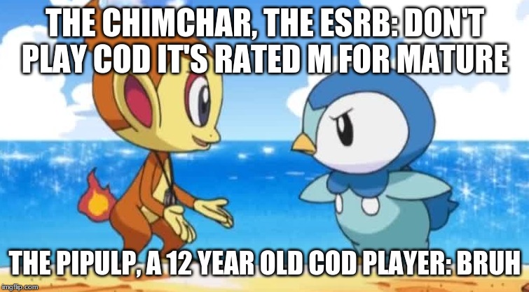 12 yr COD players be like: | THE CHIMCHAR, THE ESRB: DON'T PLAY COD IT'S RATED M FOR MATURE; THE PIPULP, A 12 YEAR OLD COD PLAYER: BRUH | image tagged in pokemon | made w/ Imgflip meme maker