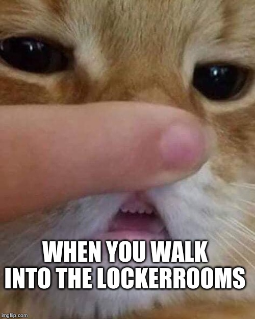 WHEN YOU WALK INTO THE LOCKERROOMS | image tagged in cats,lockerrooms,bruh,stink,original | made w/ Imgflip meme maker
