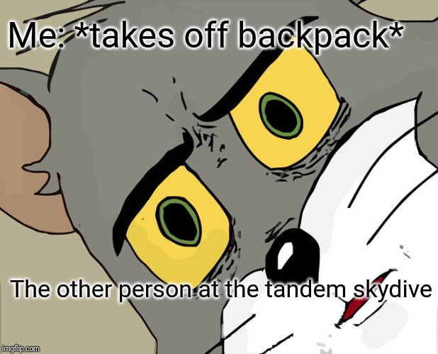 Unsettled Tom Meme | Me: *takes off backpack*; The other person at the tandem skydive | image tagged in memes,unsettled tom | made w/ Imgflip meme maker