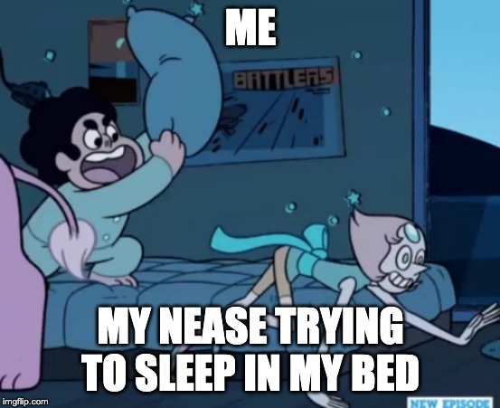 Steven Universe | ME; MY NEASE TRYING TO SLEEP IN MY BED | image tagged in steven universe | made w/ Imgflip meme maker