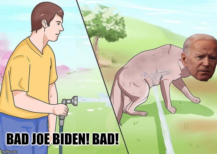 Water hose dog | BAD JOE BIDEN! BAD! | image tagged in water hose dog | made w/ Imgflip meme maker