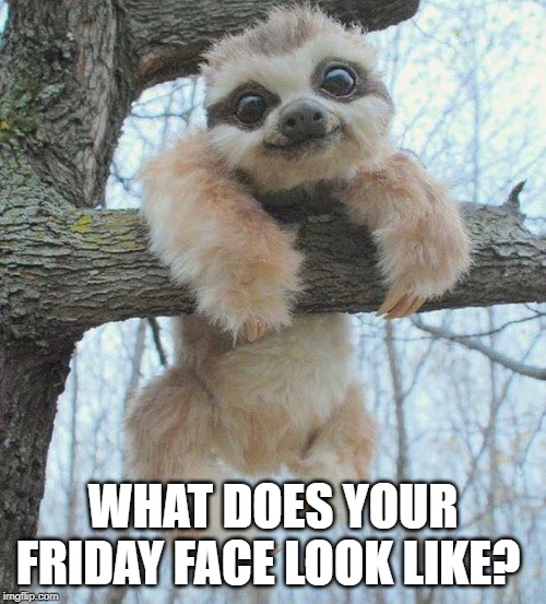 WHAT DOES YOUR FRIDAY FACE LOOK LIKE? | image tagged in friday | made w/ Imgflip meme maker